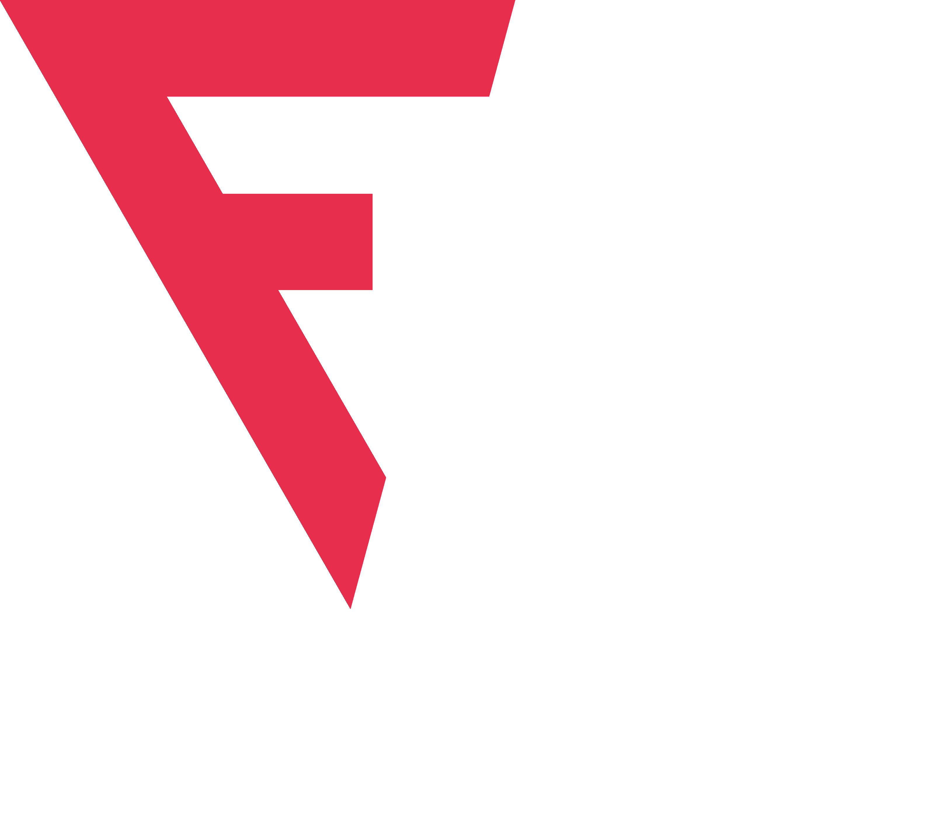 Funnel Efficiency Logo